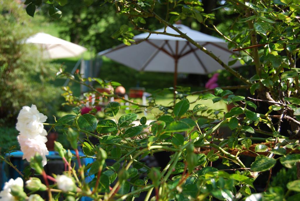 B&B Haus Zur Krone Oberriet Esterno foto