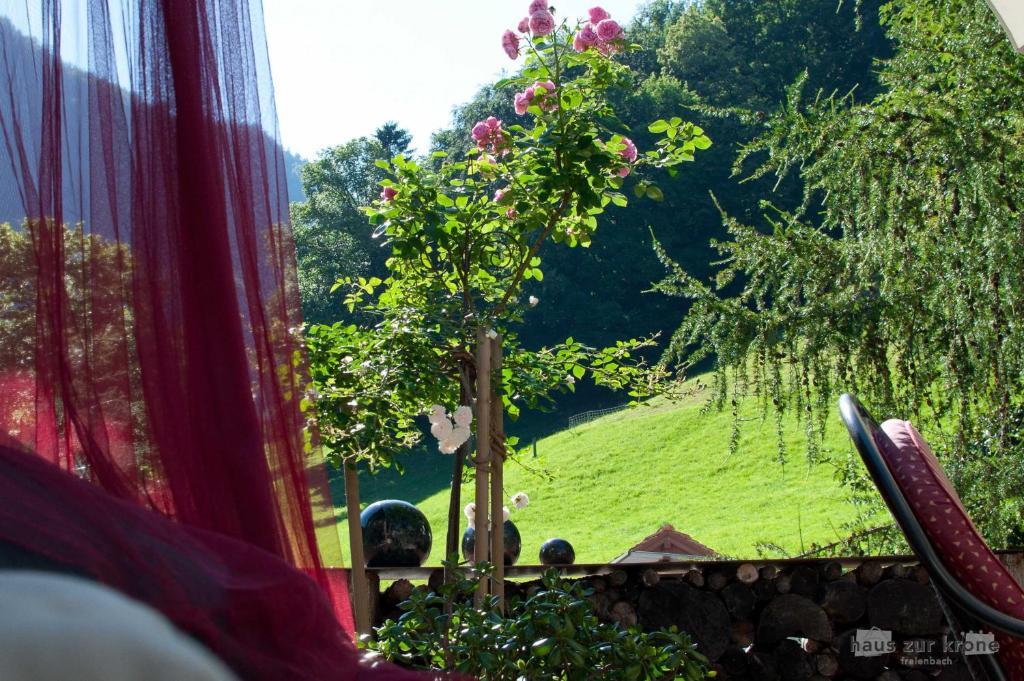 B&B Haus Zur Krone Oberriet Esterno foto
